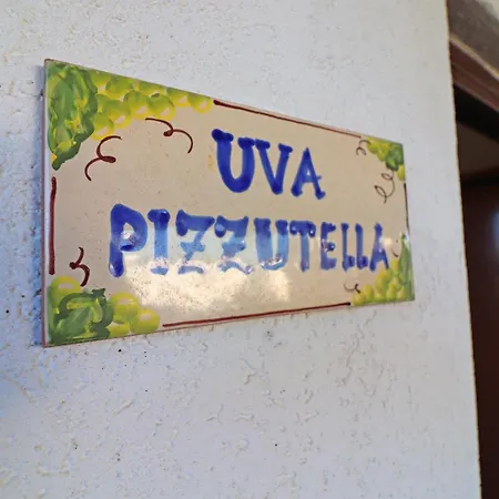 Apartman Pizzutella